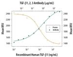 TGF beta-1,2,3 Antibody