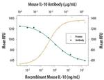 IL-10 Antibody