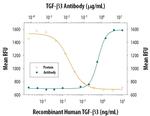 TGF beta-3 Antibody in Neutralization (Neu)