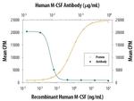 M-CSF Antibody in Neutralization (Neu)