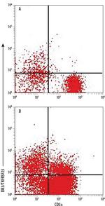 DR3 Antibody in Flow Cytometry (Flow)