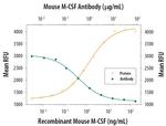 M-CSF Antibody in Neutralization (Neu)