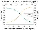 IL17RA Antibody in Neutralization (Neu)