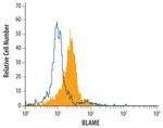 SLAMF8 Antibody in Flow Cytometry (Flow)