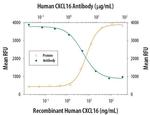 CXCL16 Antibody