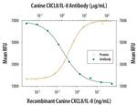 IL-8 (CXCL8) Antibody