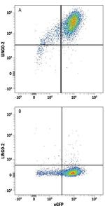 LINGO2 Antibody in Flow Cytometry (Flow)