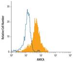 AMICA Antibody in Flow Cytometry (Flow)