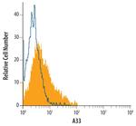 A33 Antibody in Flow Cytometry (Flow)