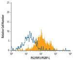 PGRP-L Antibody in Flow Cytometry (Flow)