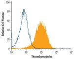 Thrombomodulin Antibody in Flow Cytometry (Flow)