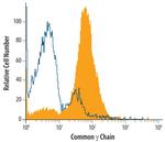 IL2RG Antibody in Flow Cytometry (Flow)