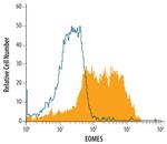 EOMES Antibody in Flow Cytometry (Flow)