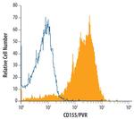 CD155 Antibody in Flow Cytometry (Flow)