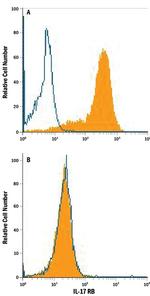 IL17RB Antibody in Flow Cytometry (Flow)