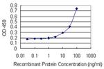 DEF6 Antibody in ELISA (ELISA)