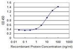 PAFAH2 Antibody in ELISA (ELISA)