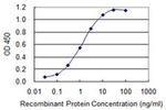 ZAN Antibody in ELISA (ELISA)