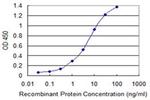 XAGE2 Antibody in ELISA (ELISA)