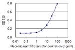 IER2 Antibody in ELISA (ELISA)