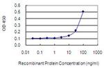 NPHP3 Antibody in ELISA (ELISA)