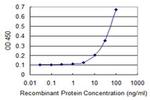 TUBD1 Antibody in ELISA (ELISA)