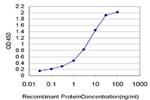 THUMPD1 Antibody in ELISA (ELISA)