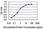 JSRP1 Antibody in ELISA (ELISA)