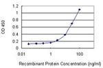 RBP7 Antibody in ELISA (ELISA)