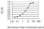 P4HA3 Antibody in ELISA (ELISA)