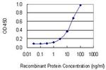 CSAD Antibody in ELISA (ELISA)