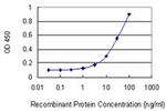 ACD Antibody in ELISA (ELISA)