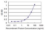 ADAM29 Antibody in ELISA (ELISA)