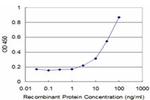 ZBTB25 Antibody in ELISA (ELISA)