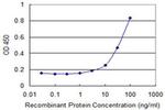 TSSK3 Antibody in ELISA (ELISA)