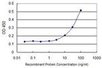 TSSK3 Antibody in ELISA (ELISA)