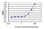 Enkurin Antibody in ELISA (ELISA)