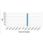 H3K27ac Antibody in Luminex (LUM)