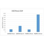 H3K79me1 Antibody in ChIP Assay (ChIP)