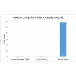 5-Hydroxymethylcytosine Antibody in Immunoprecipitation (IP)