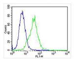 HINT1 Antibody in Flow Cytometry (Flow)