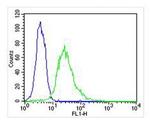 EEF1E1 Antibody in Flow Cytometry (Flow)