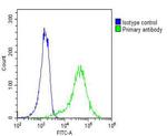 MYO18B Antibody in Flow Cytometry (Flow)