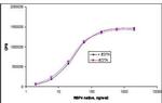 POLR2D Antibody in ELISA (ELISA)