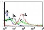 QA-1b Antibody in Flow Cytometry (Flow)