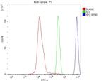 CRM1 Antibody in Flow Cytometry (Flow)