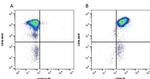 C5AR1 Antibody in Flow Cytometry (Flow)