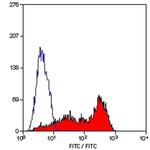 CD6 Antibody in Flow Cytometry (Flow)