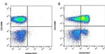 CD226 (DNAM-1) Antibody in Flow Cytometry (Flow)