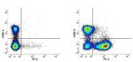 CD22 Antibody in Flow Cytometry (Flow)